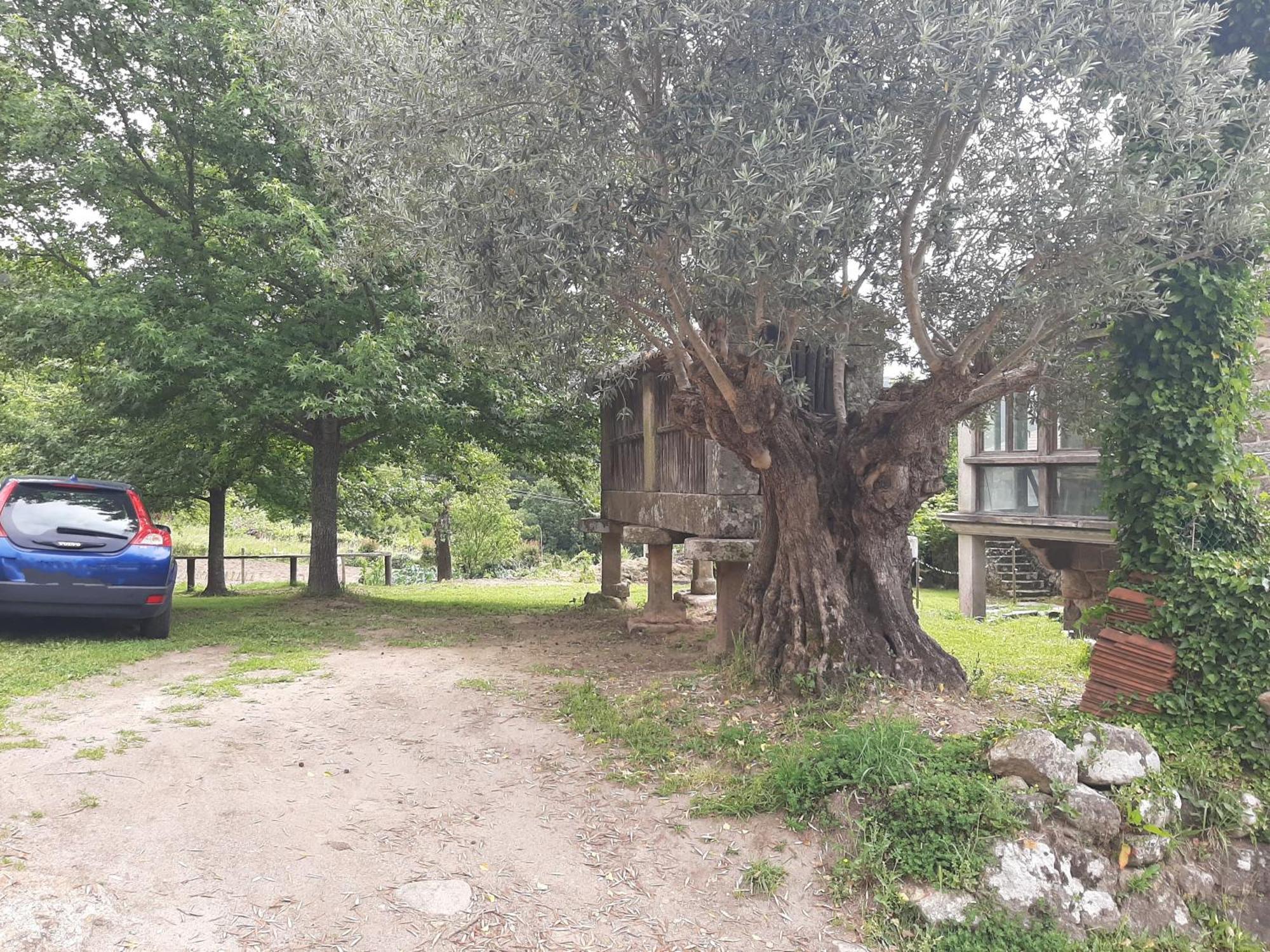 Casa Da Mestre Holiday home